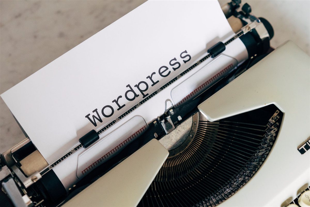 Essential WordPress Plugins Every Jamaican Small Business Website Needs in 2026 body image 1