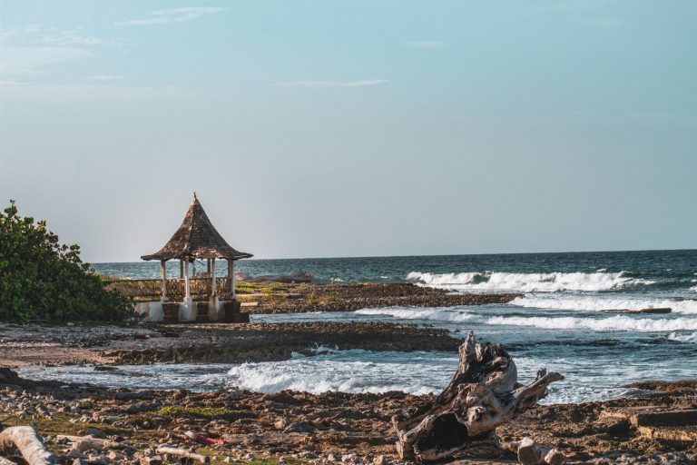 How to Build a Multilingual Website for Jamaica's Tourism Businesses