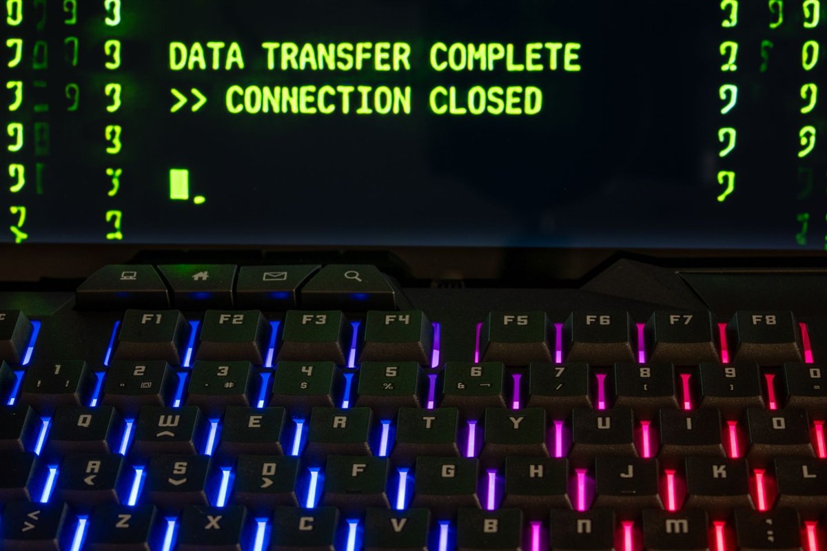 Developer working on a website migration between hosting providers